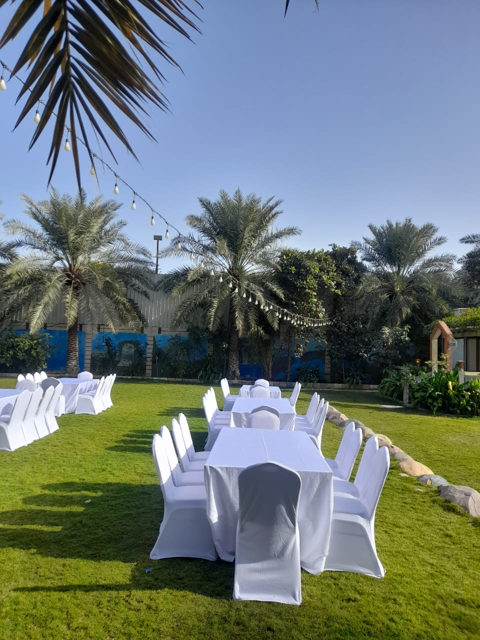 تأجير كراسي وطاولات فاخرة بالشرقية